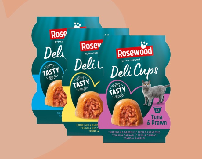 deli-cups-1723024239.jpg
